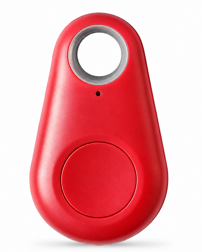 Anti Theft Key Finder